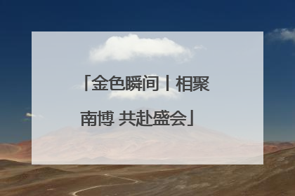 金色瞬间丨相聚南博 共赴盛会