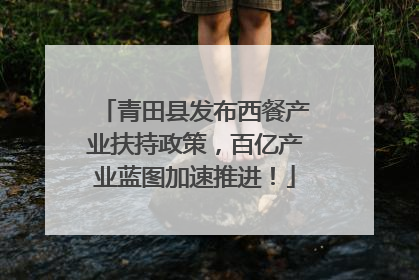 青田县发布西餐产业扶持政策，百亿产业蓝图加速推进！