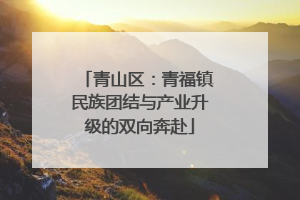 青山区：青福镇民族团结与产业升级的双向奔赴