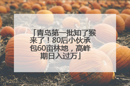 青岛第一批知了猴来了！80后小伙承包60亩林地，高峰期日入过万