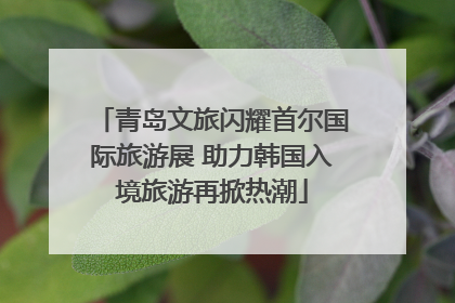 青岛文旅闪耀首尔国际旅游展 助力韩国入境旅游再掀热潮