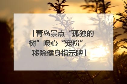 青岛景点“孤独的树”暖心“宠粉” 移除健身指示牌
