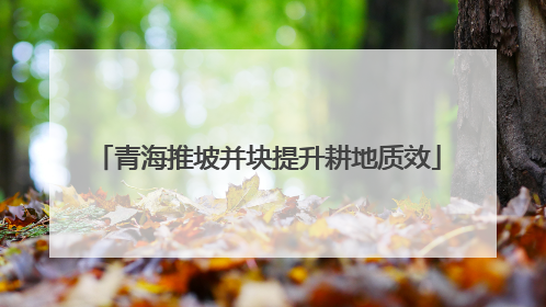 青海推坡并块提升耕地质效