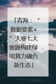 青海：“数据要素×”大赛七大赛题构建绿电算力融合新生态