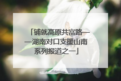 铺就高原共富路——湖南对口支援山南系列报道之一