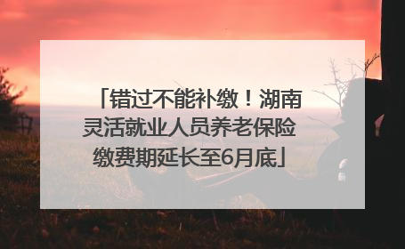 错过不能补缴！湖南灵活就业人员养老保险缴费期延长至6月底