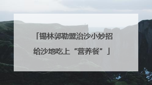 锡林郭勒盟治沙小妙招 给沙地吃上“营养餐”
