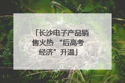 长沙电子产品销售火热 “后高考经济”升温