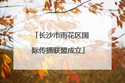 长沙市雨花区国际传播联盟成立