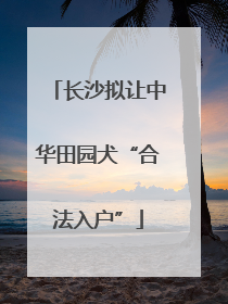 长沙拟让中华田园犬“合法入户”