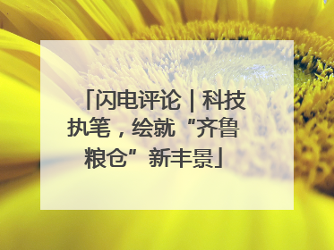 闪电评论｜科技执笔，绘就“齐鲁粮仓”新丰景
