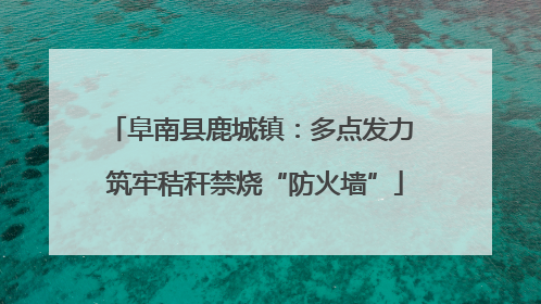 阜南县鹿城镇：多点发力 筑牢秸秆禁烧“防火墙”