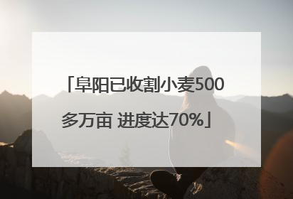 阜阳已收割小麦500多万亩 进度达70%