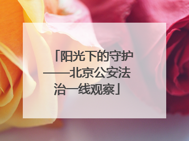 阳光下的守护——北京公安法治一线观察