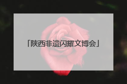 陕西非遗闪耀文博会