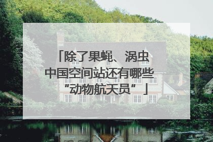 除了果蝇、涡虫 中国空间站还有哪些“动物航天员”