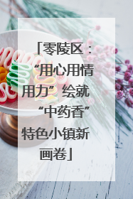 零陵区：“用心用情用力”绘就“中药香”特色小镇新画卷