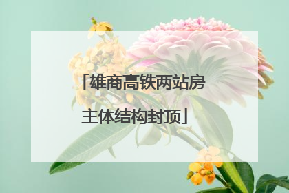 雄商高铁两站房主体结构封顶