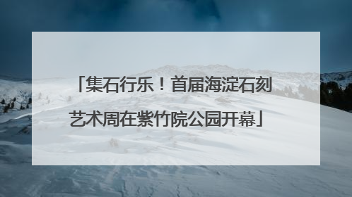 集石行乐！首届海淀石刻艺术周在紫竹院公园开幕