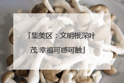 集美区：文明根深叶茂 幸福可感可触