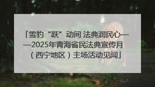 雪豹“跃”动间 法典润民心——2025年青海省民法典宣传月（西宁地区）主场活动见闻