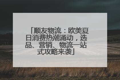 顺友物流：欧美夏日消费热潮涌动，选品、营销、物流一站式攻略来袭