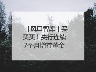 风口智库｜买买买！央行连续7个月增持黄金，专家：金价或仍易涨难跌