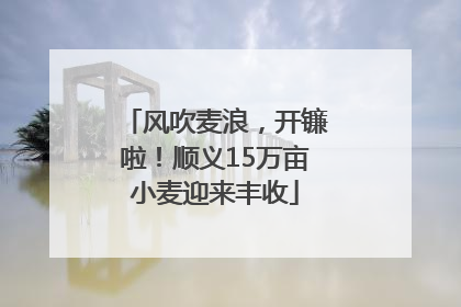 风吹麦浪，开镰啦！顺义15万亩小麦迎来丰收