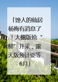 馋人的仙居杨梅有消息了!大棚版抢“鲜”开采,露天版预计要等6月