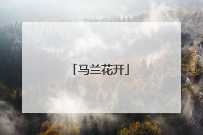 马兰花开