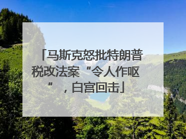 马斯克怒批特朗普税改法案“令人作呕”，白宫回击