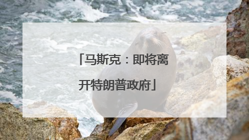 马斯克：即将离开特朗普政府