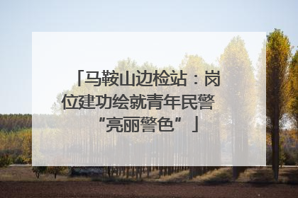 马鞍山边检站：岗位建功绘就青年民警“亮丽警色”