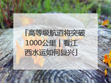 高等级航道将突破1000公里｜看江西水运如何复兴