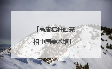 高唐秸秆画亮相中国美术馆