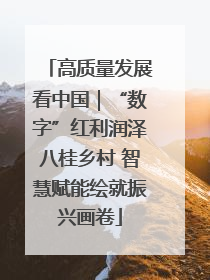 高质量发展看中国｜“数字”红利润泽八桂乡村 智慧赋能绘就振兴画卷