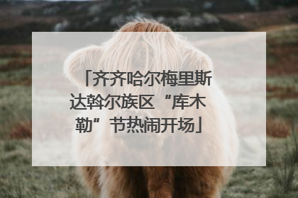 齐齐哈尔梅里斯达斡尔族区“库木勒”节热闹开场