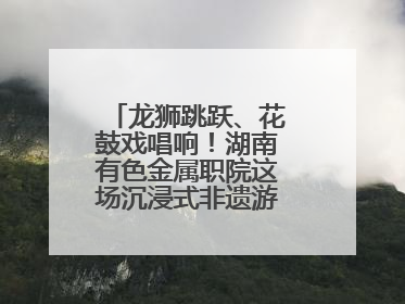 龙狮跳跃、花鼓戏唱响！湖南有色金属职院这场沉浸式非遗游园活动很带感