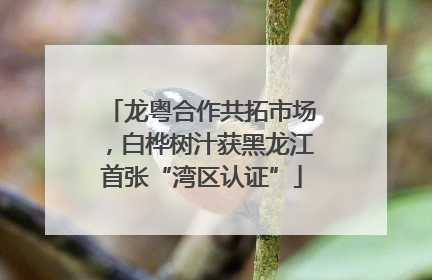 龙粤合作共拓市场，白桦树汁获黑龙江首张“湾区认证”