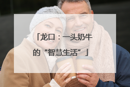 龙口：一头奶牛的“智慧生活”