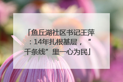鱼丘湖社区书记王萍：14年扎根基层，“千条线”里一心为民
