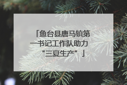 鱼台县唐马镇第一书记工作队助力“三夏生产”