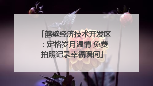 鹤壁经济技术开发区：定格岁月温情 免费拍照记录幸福瞬间