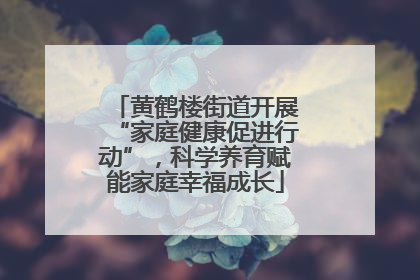 黄鹤楼街道开展“家庭健康促进行动”，科学养育赋能家庭幸福成长