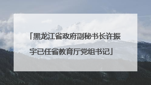 黑龙江省政府副秘书长许振宇已任省教育厅党组书记
