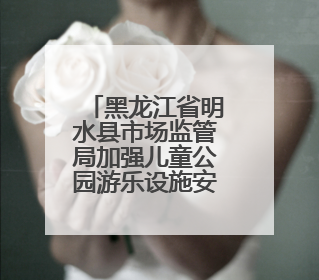 黑龙江省明水县市场监管局加强儿童公园游乐设施安全监管
