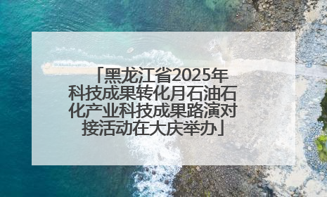 黑龙江省2025年科技成果转化月石油石化产业科技成果路演对接活动在大庆举办
