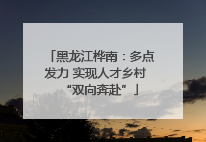 黑龙江桦南：多点发力 实现人才乡村“双向奔赴”