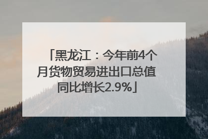 黑龙江：今年前4个月货物贸易进出口总值同比增长2.9%