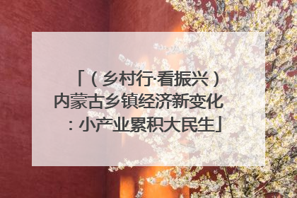 （乡村行·看振兴）内蒙古乡镇经济新变化：小产业累积大民生